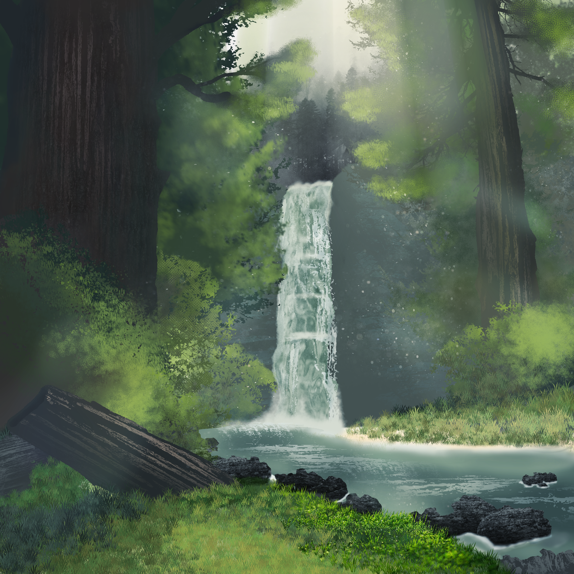 Forest